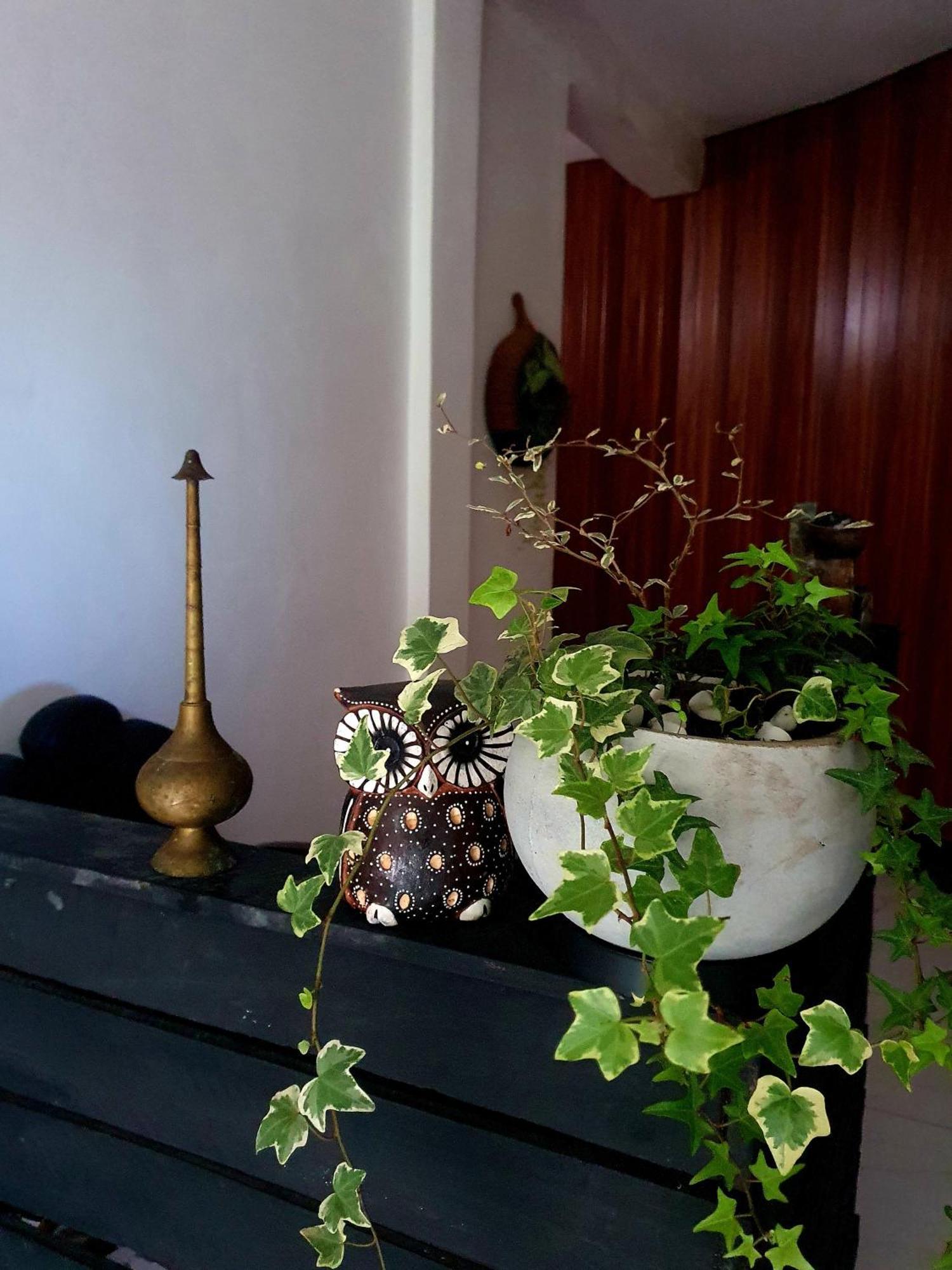 Hotel Kai Kazee Ella Zewnętrze zdjęcie